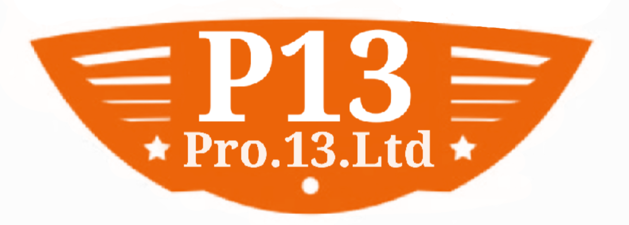 P13 Shield Logo